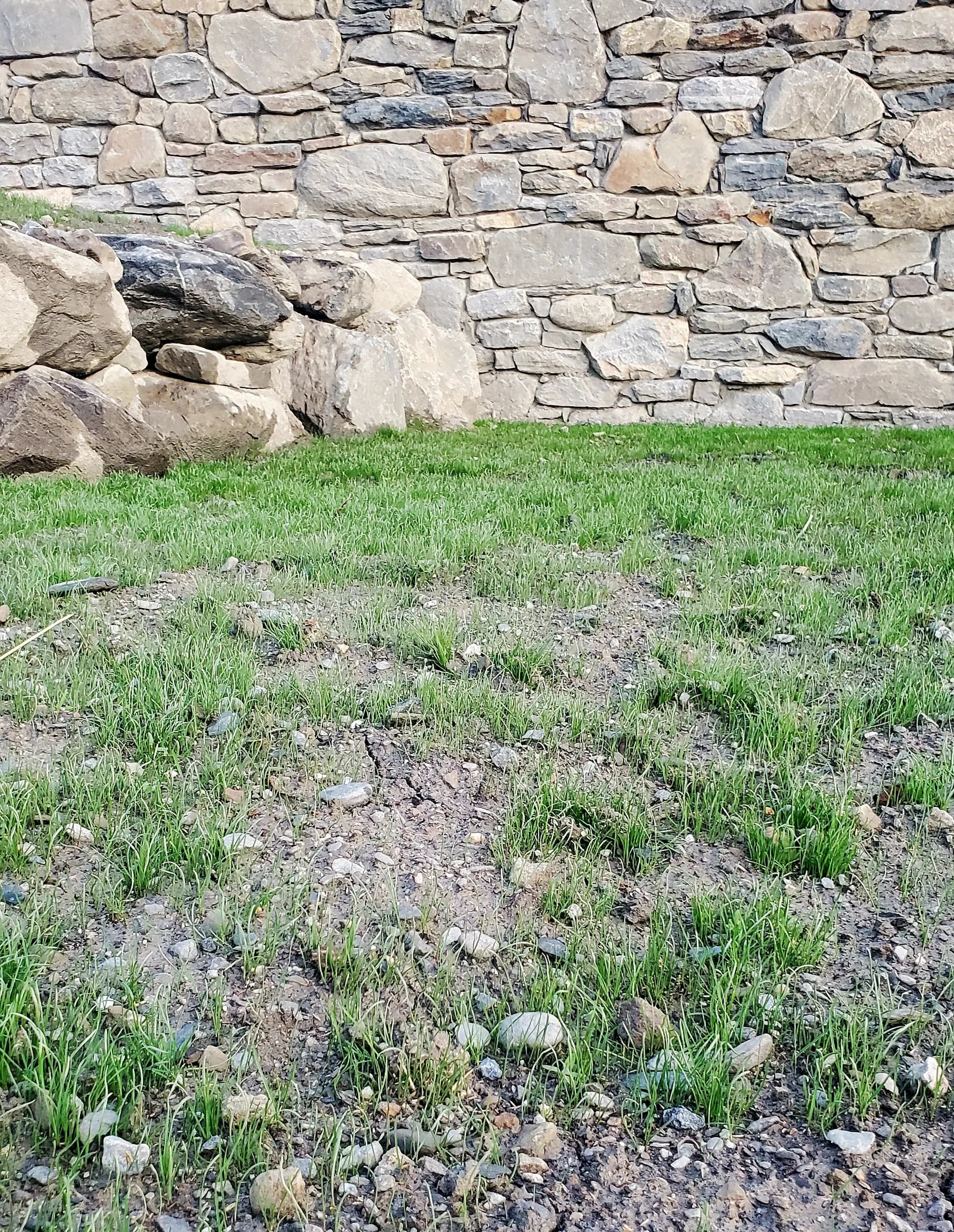Gazon & prairie — image 2